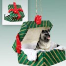 GGBD32 Keeshond Green Gift Box Ornament