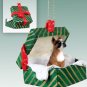 GGBD33A Boxer Green Gift Box Ornament