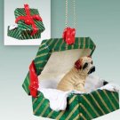 GGBD40C Shar Pei, Cream Green Gift Box Ornament
