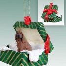 GGBD41 Irish Setter Green Gift Box Ornament