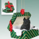 GGBD46B Brussels Griffon, Black Green Gift Box Ornament