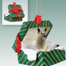 GGBD52 Norwegian Elkhound Green Gift Box Ornament