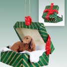 GGBD60A Dachshund, Longhaired, Red Green Gift Box Ornament