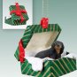 GGBD60B Dachshund, Longhaired, Black Green Gift Box Ornament