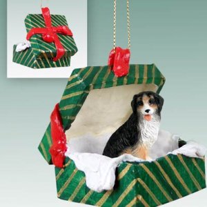 GGBD61 Bernese Mountain Dog Green Gift Box Ornament
