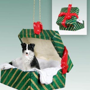 GGBD62 Border Collie Green Gift Box Ornament