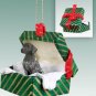 GGBD67 German Short Hair Green Gift Box Ornament