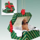 GGBD69 Bloodhound Green Gift Box Ornament
