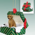 GGBD78 Rhodesian Ridgeback  Green Gift Box Ornament