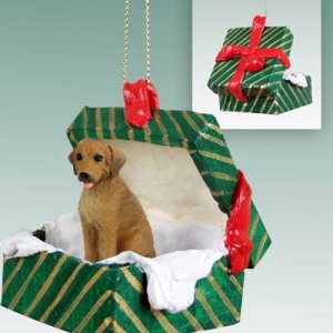 GGBD78 Rhodesian Ridgeback  Green Gift Box Ornament