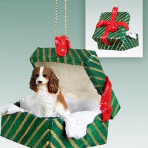 GGBD80A Cavalier King Charles, Brown & White Green Gift Box Ornament