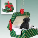 GGBD85 Flat Coated Retriever Green Gift Box Ornament