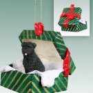 GGBD89 Bouvier, Uncropped Green Gift Box Ornament