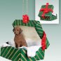 GGBD90 Chesapeake Bay Green Gift Box Ornament