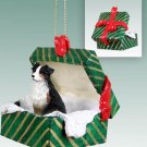 GGBD99E Australian Shepherd Tricolor Green Gift Box Ornament