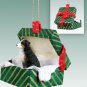 GGBD99F Australian Shepherd Tricolor, Docked Green Gift Box Ornament