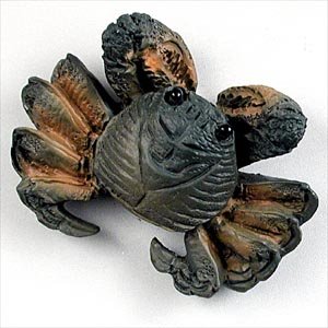 NM03 Crab Magnet