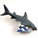 NM18 Shark Tiger Magnet