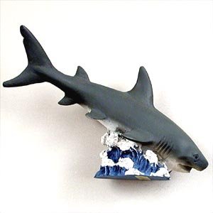 NM18 Shark Tiger Magnet