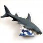 NM18 Shark Tiger Magnet