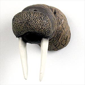 NM30 Walrus Magnet