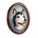 P17A Husky Portrait