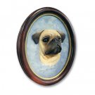 P18A Pug Fawn Portrait