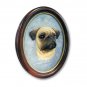 P18A Pug Fawn Portrait