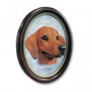 P19A Dachshund Red Portrait