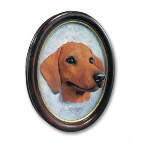 P19A Dachshund Red Portrait