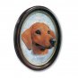 P19A Dachshund Red Portrait