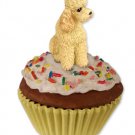PC104C Poodle, Apricot, Sport cut Pupcake Trinket Box