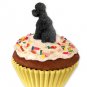 PC104D Poodle, Black, Sport cut Pupcake Trinket Box