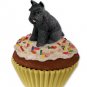 PC13A Schnauzer, Black Pupcake Trinket Box