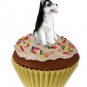 PC17B Husky, Black & White, Brown Eyes Pupcake Trinket Box