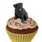 PC18B Pug, Black Pupcake Trinket Box