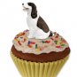 PC22A Springer Spaniel, Liver & White Pupcake Trinket Box