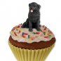 PC30 Newfoundland Pupcake Trinket Box