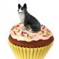 PC51B Welsh Corgi, Cardigan Pupcake Trinket Box