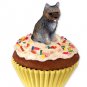 PC53C Cairn Terrier, Brindle Pupcake Trinket Box