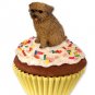 PC64 Norfolk Terrier Pupcake Trinket Box