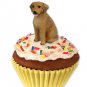 PC78 Rhodesian Ridgeback  Pupcake Trinket Box