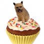 PC79 Norwich Terrier Pupcake Trinket Box