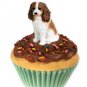 PC80A Cavalier King Charles, Brown & White Pupcake Trinket Box