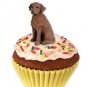 PC90 Chesapeake Bay Pupcake Trinket Box