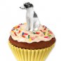 PC92C Whippet, Gray & White Pupcake Trinket Box