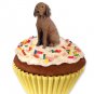 PC97 Vizsla Pupcake Trinket Box