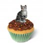 PCC01 Shorthair Silver Tabby Kittycake Trinket Box