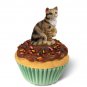 PCC03 Shorthair Brown Tabby Kittycake Trinket Box