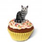 PCC16 Maine Coon Silver Tabby Kittycake Trinket Box
